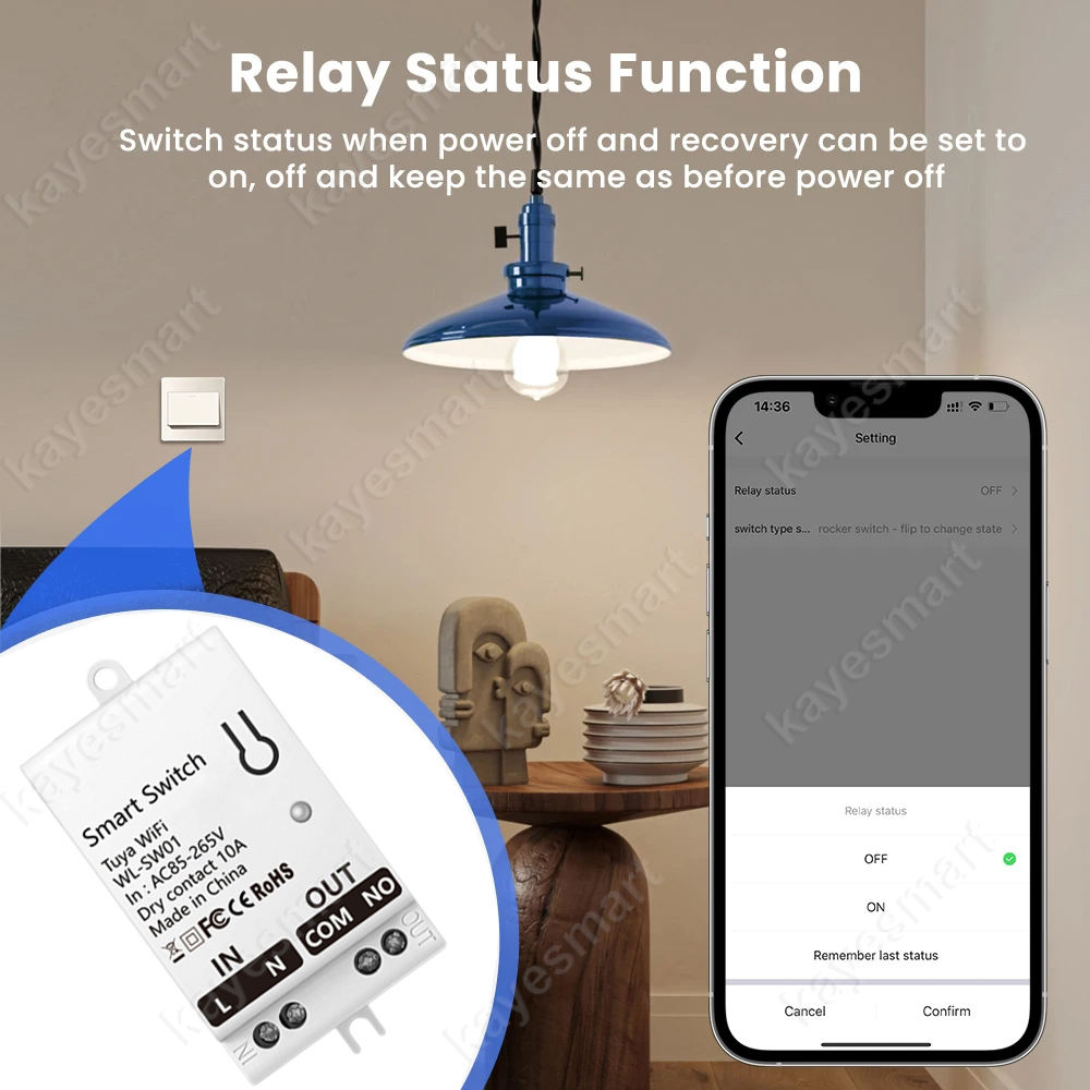 Tuya WiFi Smart Switch Module  - Smart Accessories review and price